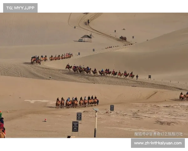 猛龙队辉煌夺冠之路全面回顾与赛程分析 猛龙队辉煌夺冠之路全面回顾与赛程分析